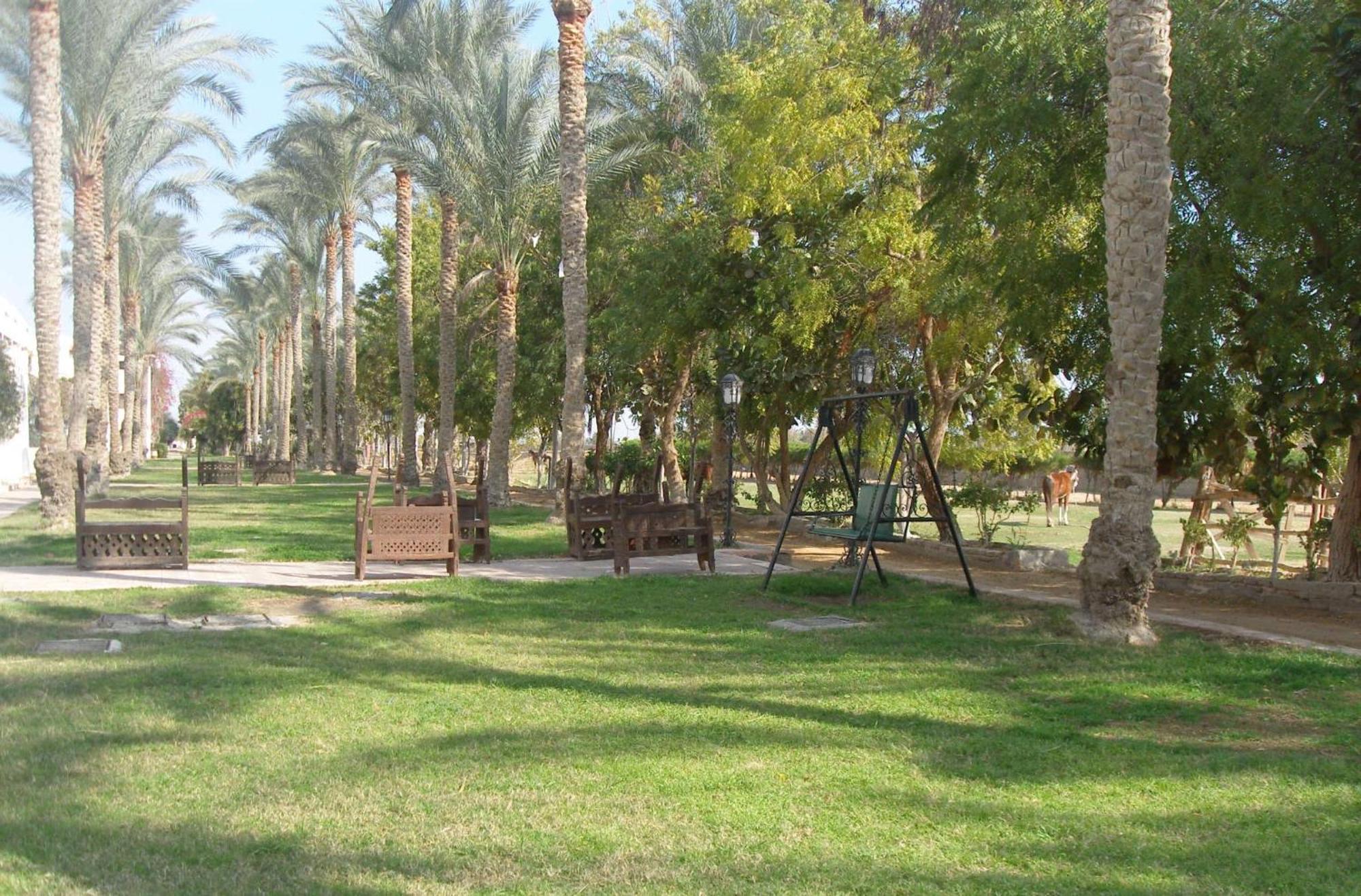 Six Corners Resort Abū Sulţān Bagian luar foto